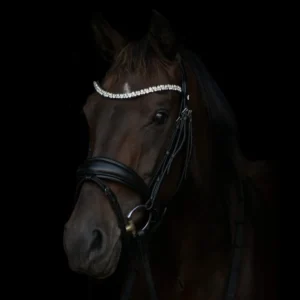ByWeber Amanda Trense - PONY