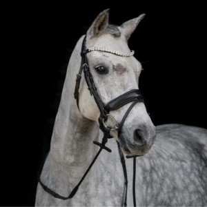 ByWeber Andrea Trense - COB
