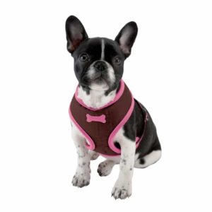 BOBBY Arlequin Softsele - Large - Brun