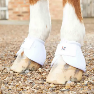 Premier Equine Ballistic No-Turn klokker - Hvid