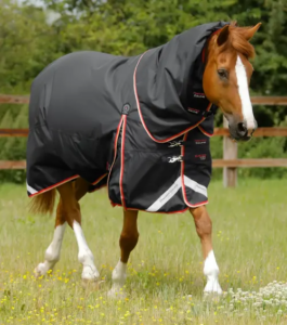 Premier Equine Buster 100g d�kken - Snug-fit hals - 7,0" (160cm), Sort