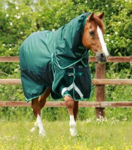 Premier Equine Buster 200g d�kken med Snug Fit hals - Gr�n - 5,0 115cm