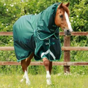 Premier Equine Buster 200g d�kken med Snug Fit hals - Gr�n