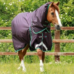 Premier Equine Buster 200g d�kken med Snug Fit hals - Lilla - 6,0 135cm