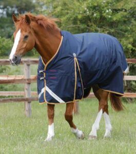 Premier Equine Buster Original 50g overgangsd�kken - 7,0" (160cm)