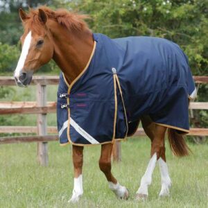 Premier Equine Buster Original 50g overgangsd�kken