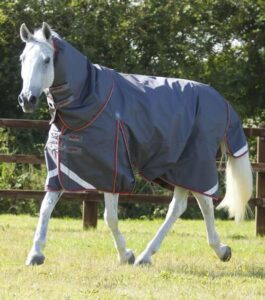 Premier Equine Buster 50g med aftagelig Snug-Fit hals - Gr� - 5,6" (125cm)