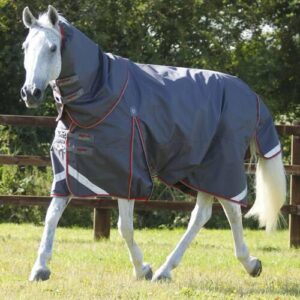 Premier Equine Buster 50g med aftagelig Snug-Fit hals - Gr�