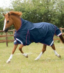 Premier Equine Buster Hardy Turnout d�kken 0g - Wither Pressure Relief - 6,9" (155cm), Navy