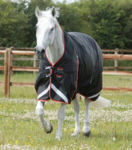 Premier Equine Buster Hardy d�kken 100g med h�j hals - Sort - 5,3 120cm