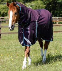 Premier Equine Buster Storm 100g d�kken med hals - 7,3" - 170cm, Lilla