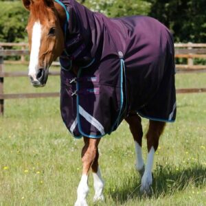 Premier Equine Buster Storm 100g d�kken med hals - 7,0" - 165cm, Lilla