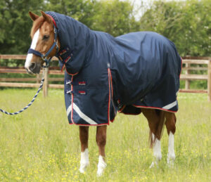 Premier Equine Buster Storm 200g d�kken med hals - 7,3" (170cm)