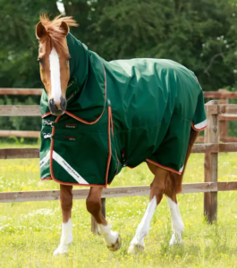 Premier Equine Buster Zero 0g med aftagelig hals - Gr�n - 6,6 145cm