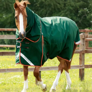 Premier Equine Buster Zero 0g med aftagelig hals - Gr�n