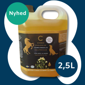 Camelina olie �kologisk - 2,5 Liter