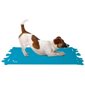 CAR PET DOG Hundet�ppe - Large