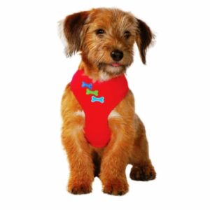 BOBBY Carnaval Softsele - Large