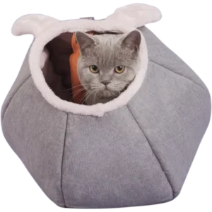 Cat Cave Bunny