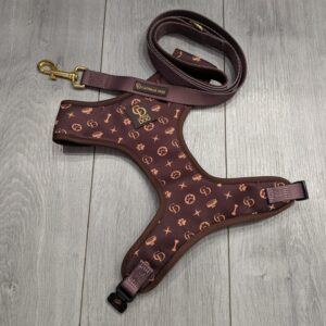 Catwalk Dog Chewy Louis Sele (Str. Large)