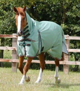 Premier Equine Combo Mesh Air insektd�kken - Mint Gr�n - 5,9" (130cm)