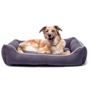 DOG GONE SMART Lounger Hundeseng - Medium - Brun