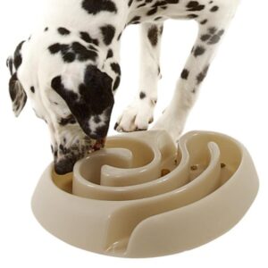 BUSTER Dog Maze - Pink
