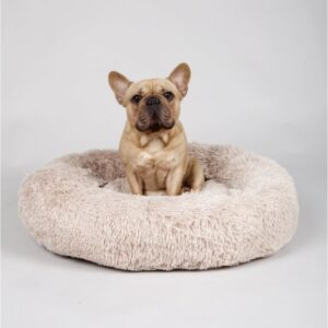 Donutseng til sm� hunde
