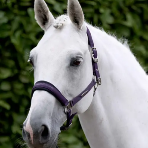Premier Equine Duco grime s�t - Grape, Pony