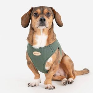 PUPPIA Eco Softsele - Large - Gr�n