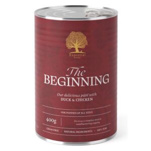 Essential The Beginning Pat�, 400g