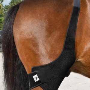 Fenwick Liquid Titanium Stifle Wrap til bagkn�