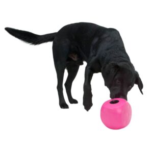 BUSTER Food Cube - Sort