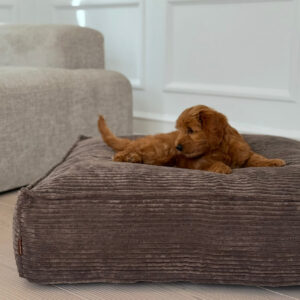 Frede hundekurven / M�rk brun - Large / 105 x 90 x 25 cm