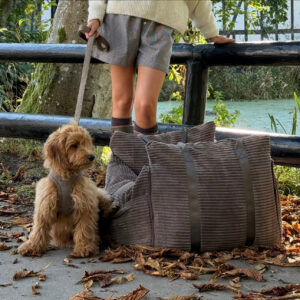 Bj�rk bils�de til hunde - m�rk brun