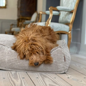 Frede hundekurven / Beige