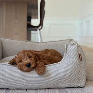 Elmer hundekurv / smal fl�jl - Beige