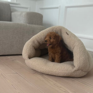 Elfe hule hundekurven
