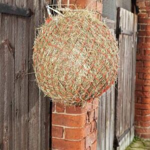 Premier Equine h�net - Bl�, Pony - store huller