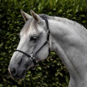 Premier Equine Hennaroso Rolled Anatomic l�der grime - Sort, Full