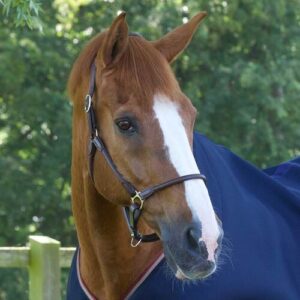 Premier Equine Hennaroso Rolled Anatomic l�der grime - Brun, Cob