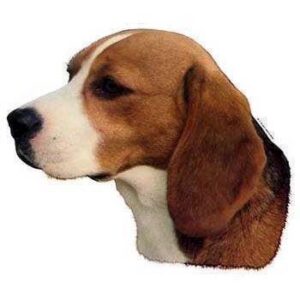 Klisterm�rke, Beagle