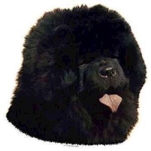 Klisterm�rke, Chow Chow