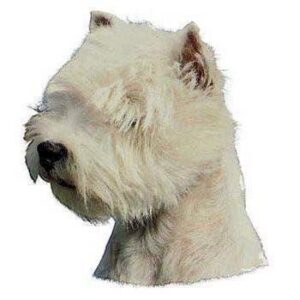 Klisterm�rke, West highland White Terrier