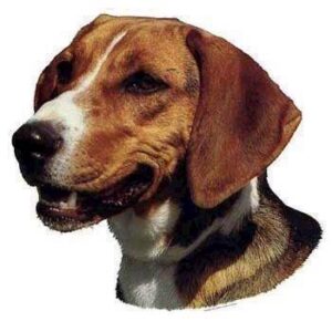 Klisterm�rke, Hamilton Hound