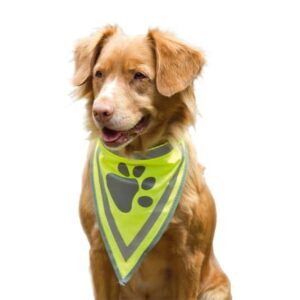 Secure Bandana (Small)
