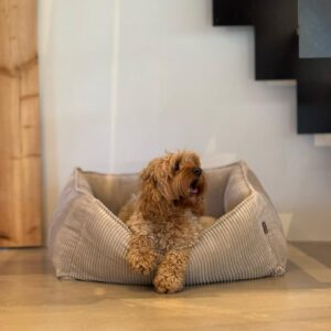 Carl hundekurv - Beige i bred fl�jl - Large