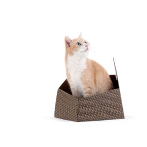 Cat-in-the-Box KITTY Katteseng