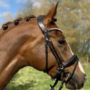 ByWeber Madison Trense - PONY