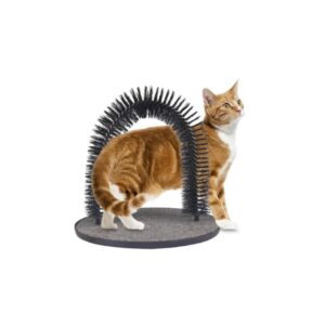 Massagebue til Katte